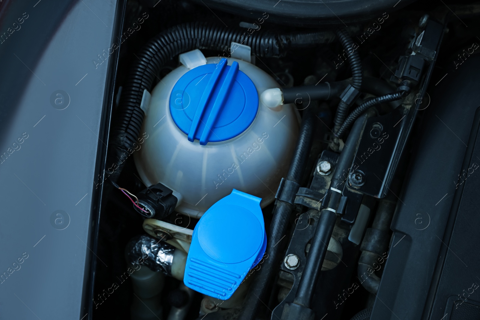 Photo of Windshield washer and coolant reservoirs in engine compartment, above view