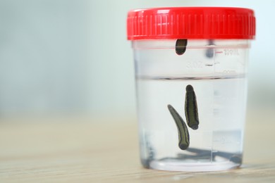 Medicinal leeches in plastic jar on wooden table, closeup. Space for text