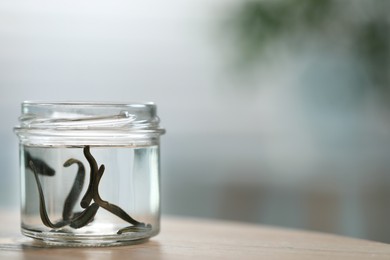 Photo of Medicinal leeches in glass jar on wooden table, closeup. Space for text