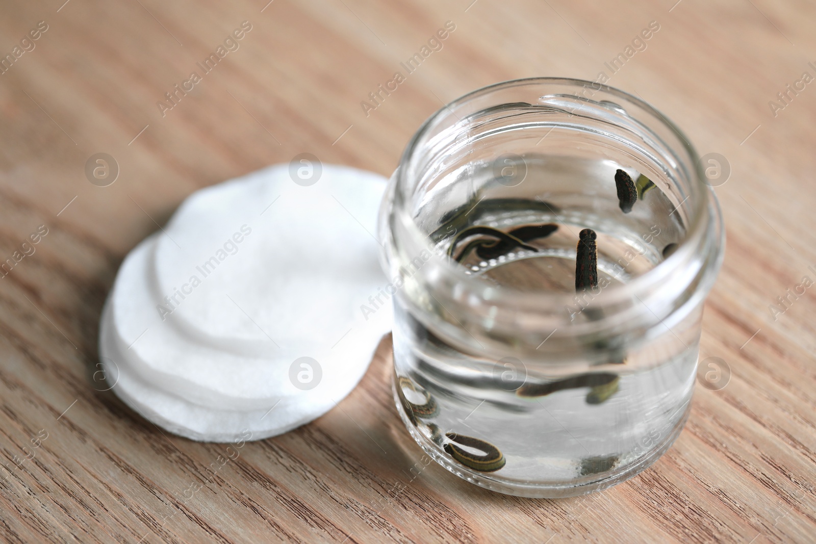 Photo of Medicinal leeches in glass jar and cotton pads on wooden table, closeup