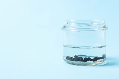 Photo of Medicinal leeches in glass jar on light blue background, space for text