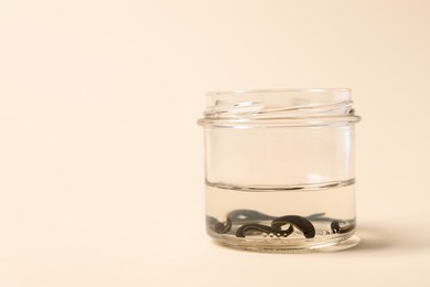 Photo of Medicinal leeches in glass jar on pale yellow background, space for text