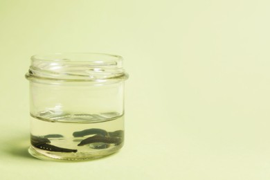 Photo of Medicinal leeches in glass jar on light green background, space for text