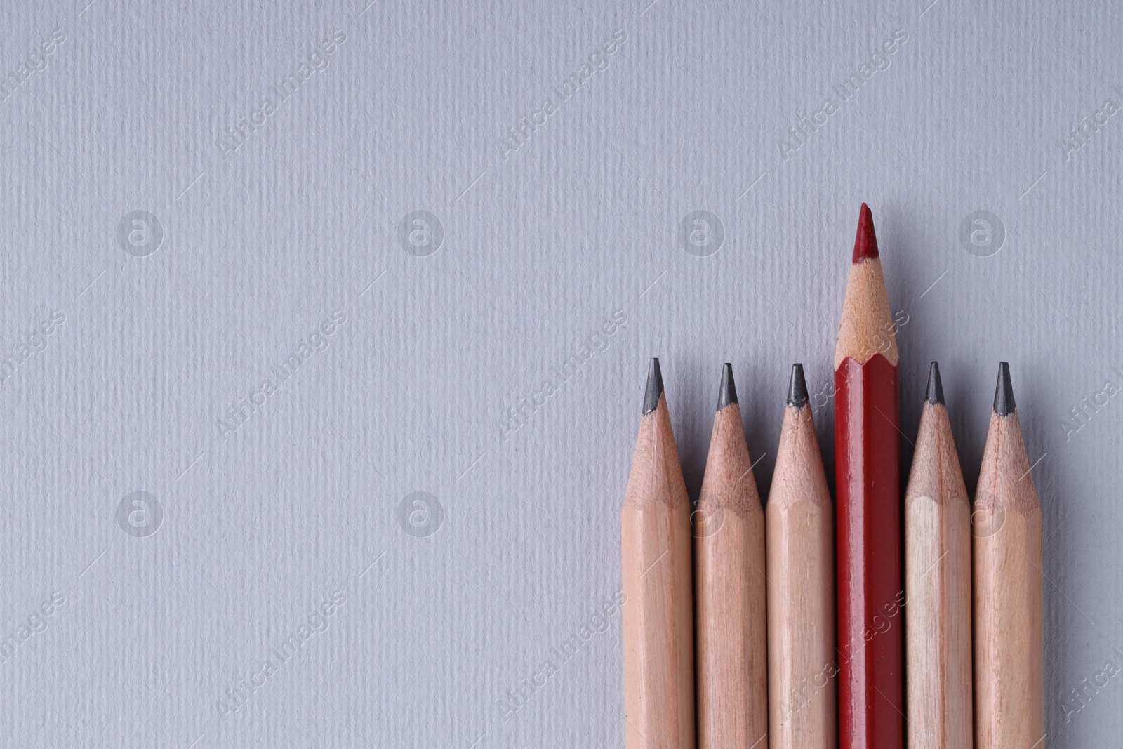 Photo of One red pencil among graphite ones on light grey background, top view. Space for text