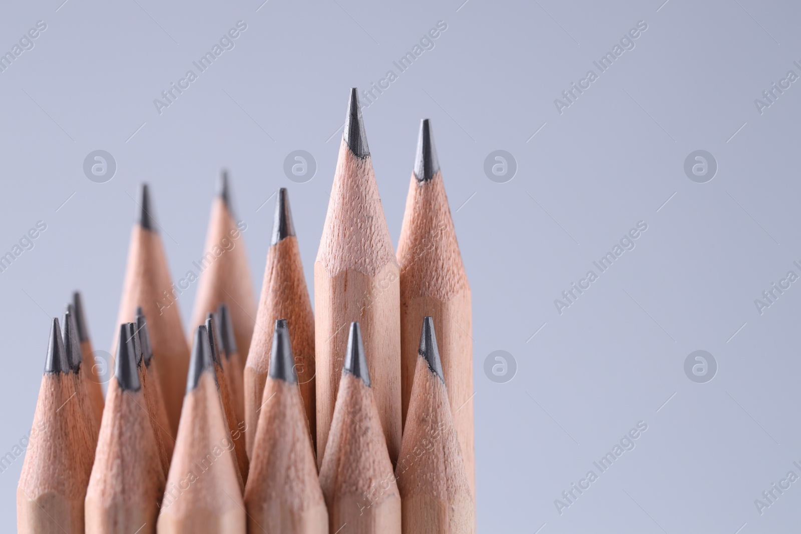 Photo of Many pencils on light grey background, closeup. Space for text