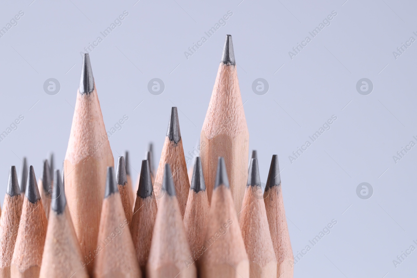 Photo of Many pencils on light grey background, closeup