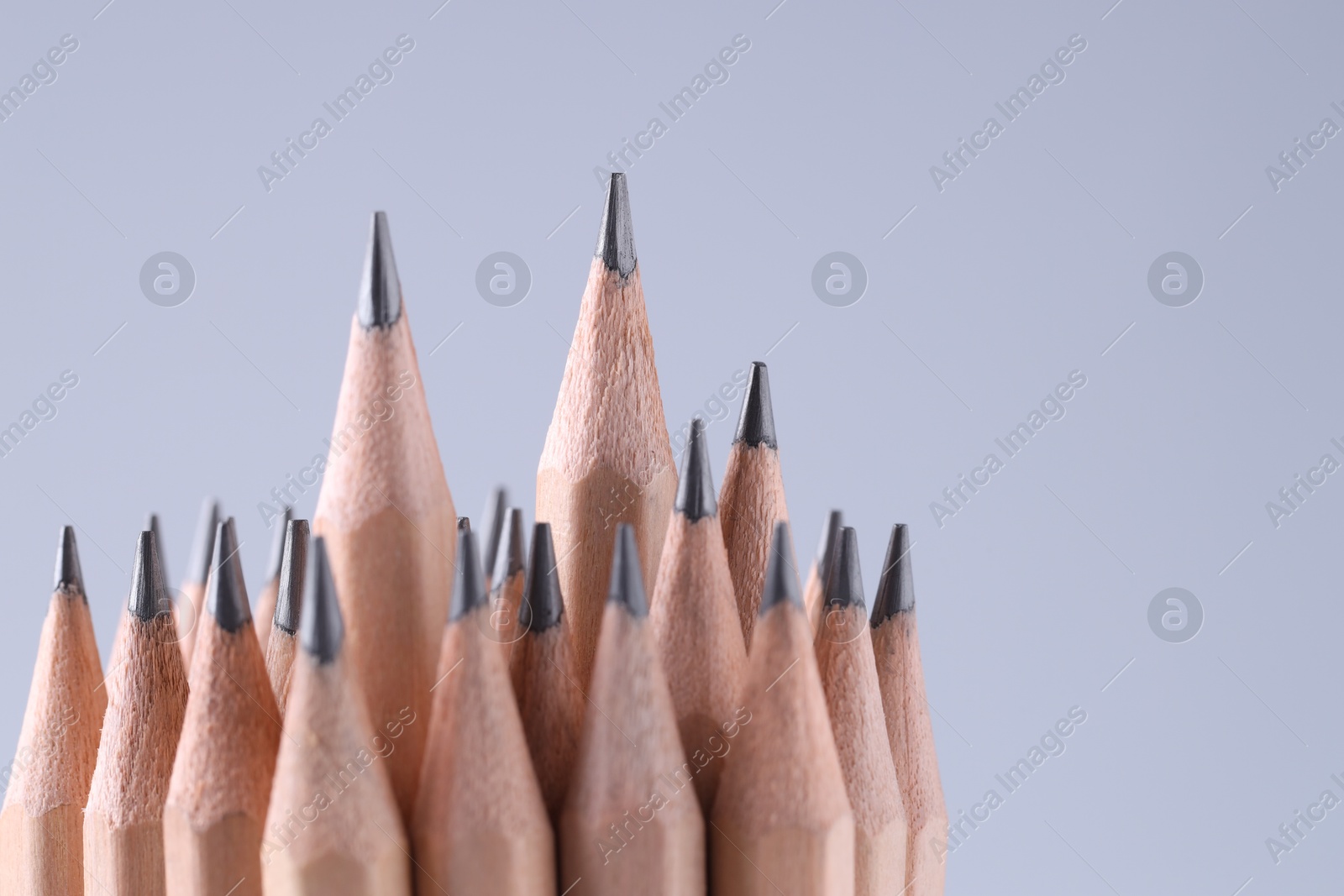 Photo of Many pencils on light grey background, closeup. Space for text