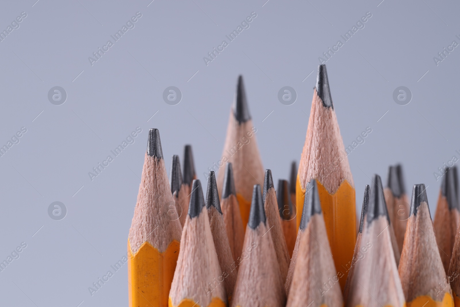 Photo of Many pencils on light grey background, closeup. Space for text