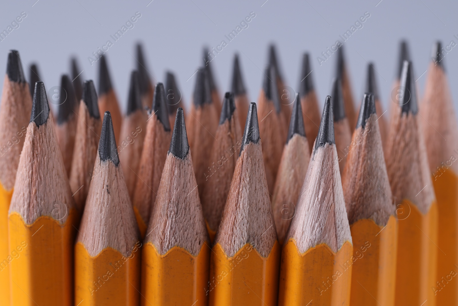 Photo of Many pencils on light grey background, closeup