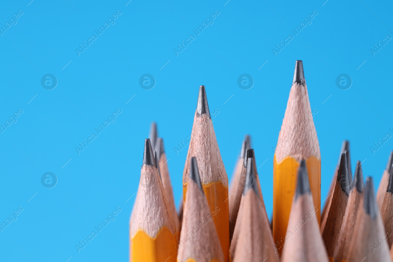 Photo of Many pencils on light blue background, closeup. Space for text