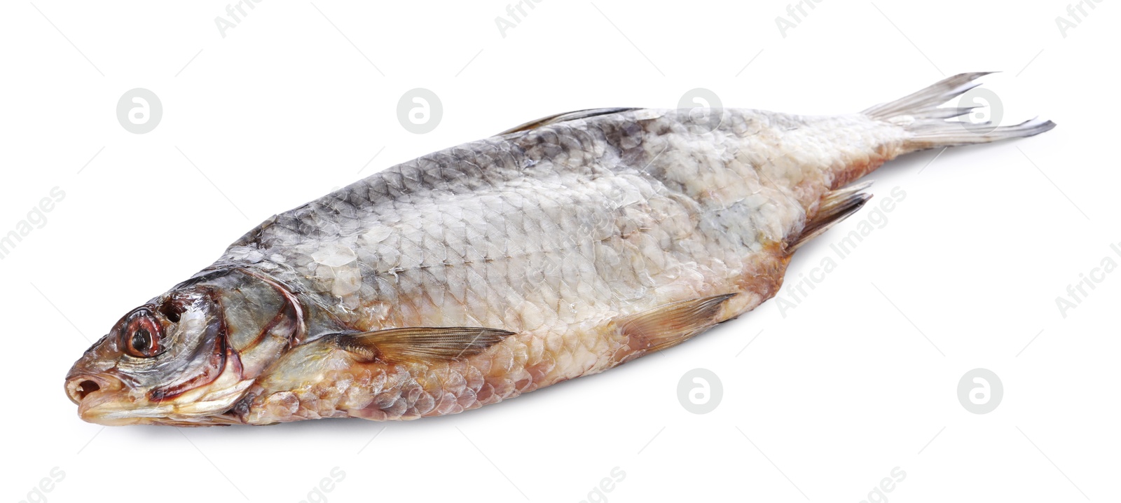 Photo of Dried salted roach fish isolated on white