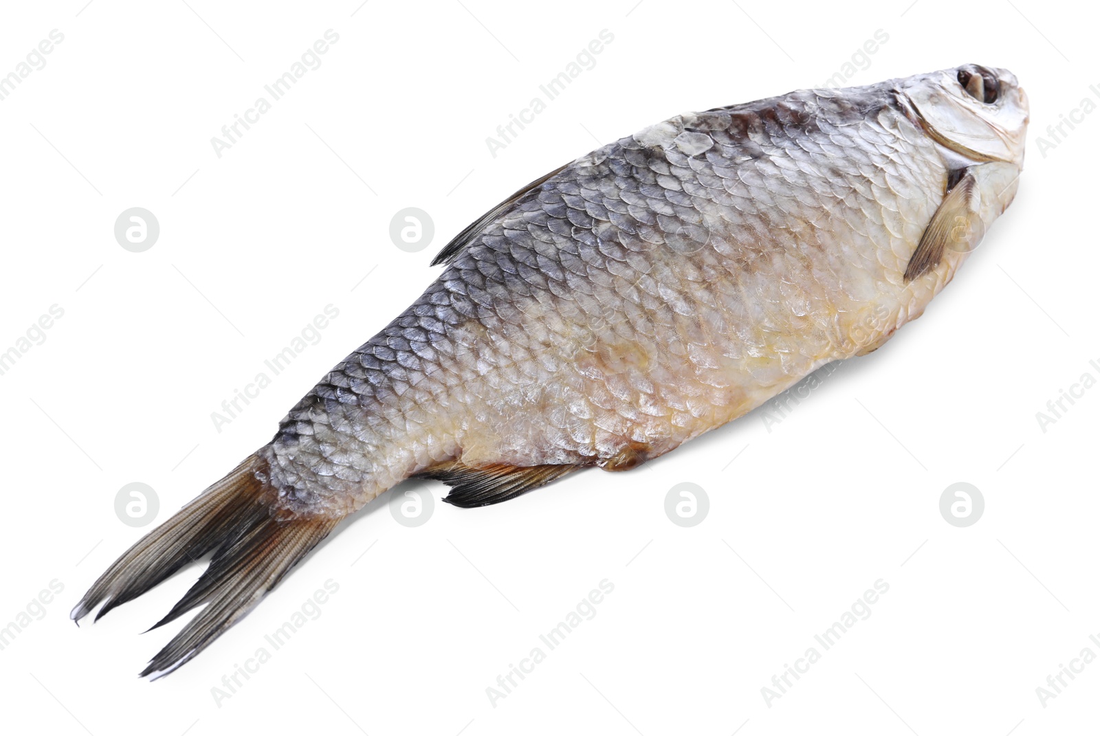 Photo of Dried salted roach fish isolated on white