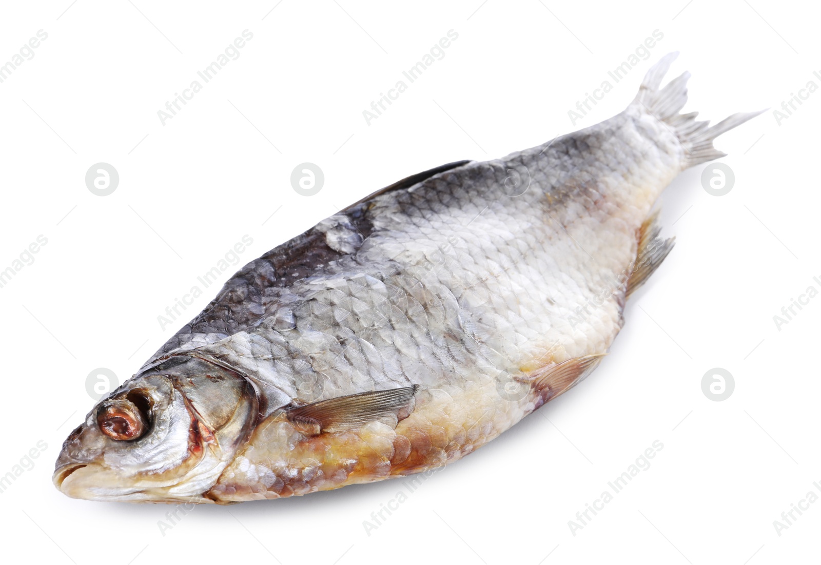 Photo of Dried salted roach fish isolated on white