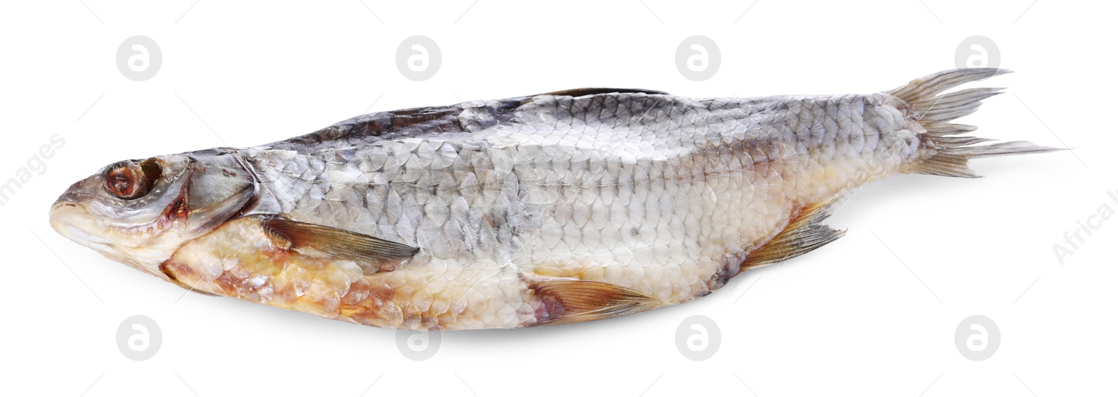 Photo of Dried salted roach fish isolated on white