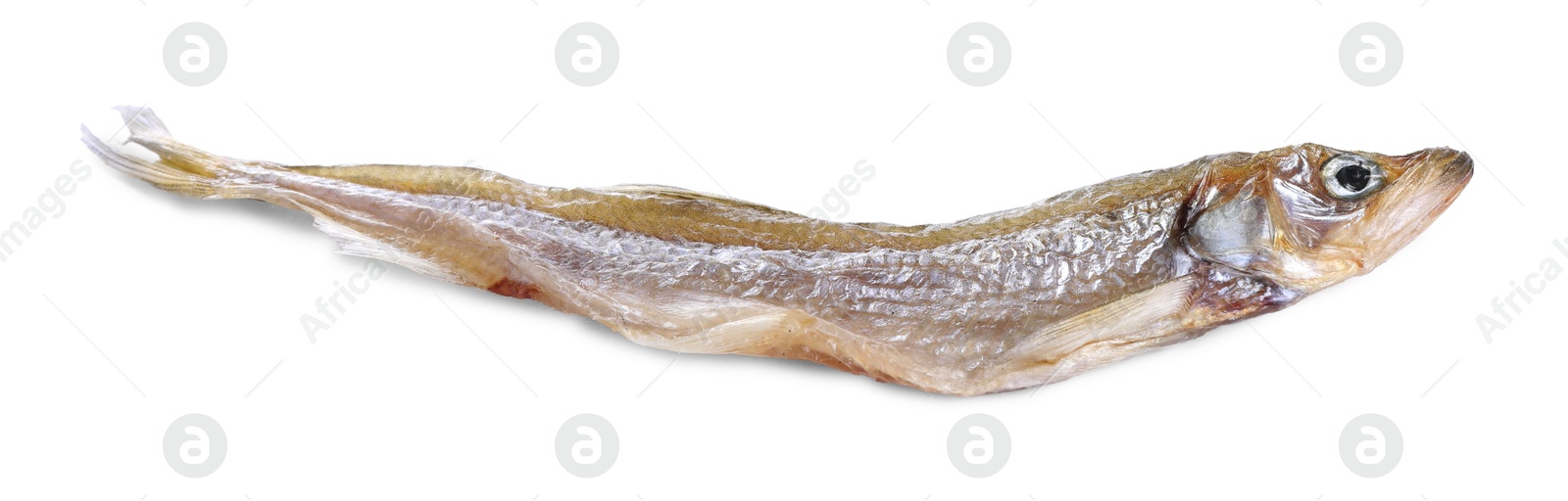 Photo of Dried salted smelt fish isolated on white