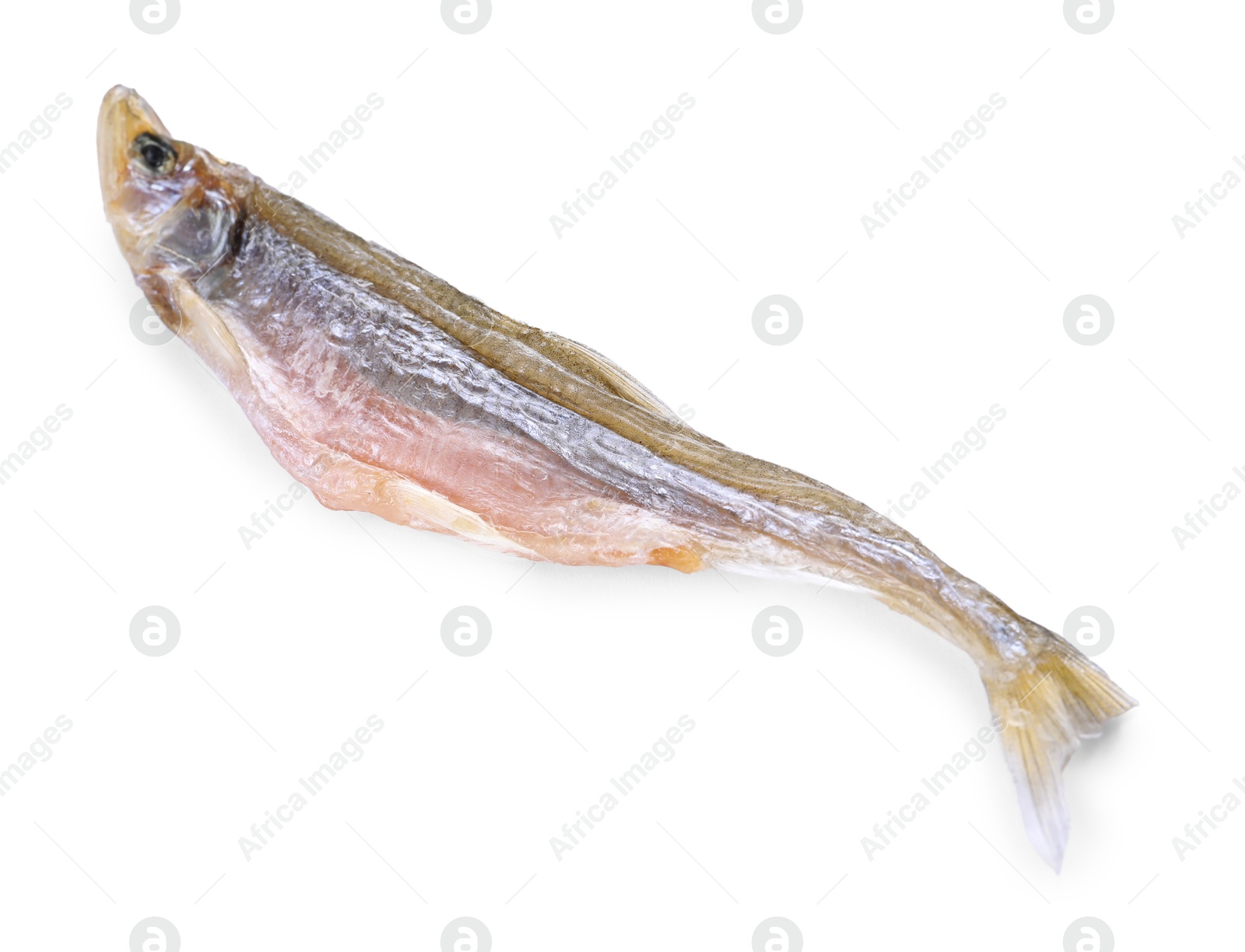 Photo of Dried salted smelt fish isolated on white