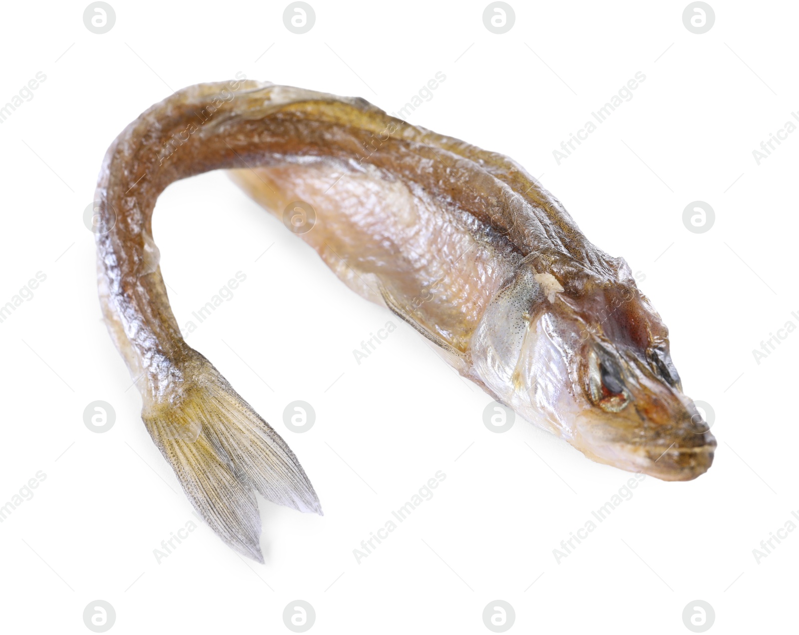 Photo of Dried salted smelt fish isolated on white