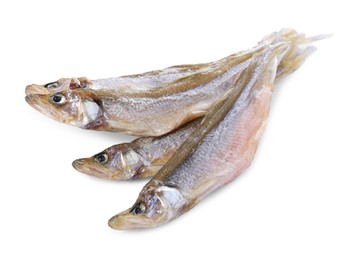 Photo of Dried salted smelt fish isolated on white