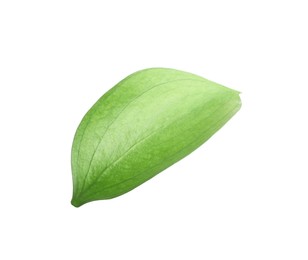 Photo of One fresh green Ruscus leaf isolated on white