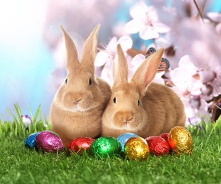 Image of Easter celebration. Cute fluffy rabbits and chocolate eggs in shiny wrappers on green grass under sky