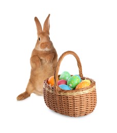 Image of Cute fluffy rabbit and colorful Easter eggs isolated on white