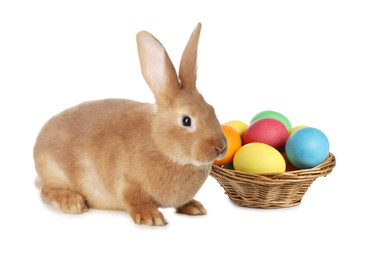 Image of Cute fluffy rabbit and colorful Easter eggs isolated on white