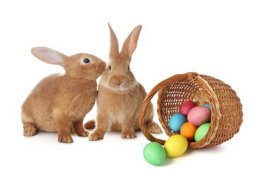 Image of Easter celebration. Fluffy rabbits and colorful painted eggs isolated on white