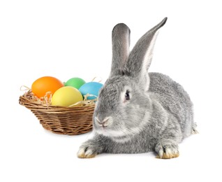 Image of Cute fluffy rabbit and colorful Easter eggs isolated on white