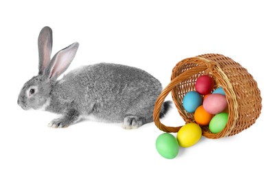 Image of Cute fluffy rabbit and colorful Easter eggs isolated on white