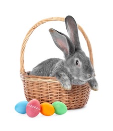 Image of Cute fluffy rabbit and colorful Easter eggs isolated on white