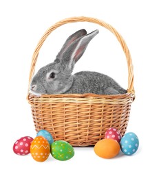 Image of Cute fluffy rabbit and colorful Easter eggs isolated on white