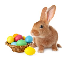 Image of Cute fluffy rabbit and colorful Easter eggs isolated on white