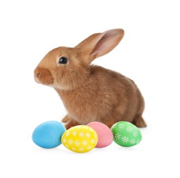 Image of Cute fluffy rabbit and colorful Easter eggs isolated on white