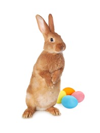 Image of Cute fluffy rabbit and colorful Easter eggs isolated on white
