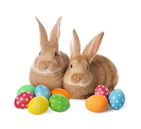 Image of Easter celebration. Fluffy rabbits and colorful painted eggs isolated on white