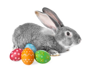 Image of Cute fluffy rabbit and colorful Easter eggs isolated on white
