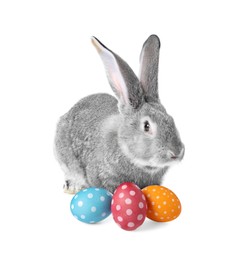 Image of Cute fluffy rabbit and colorful Easter eggs isolated on white