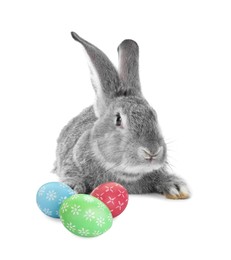 Image of Cute fluffy rabbit and colorful Easter eggs isolated on white