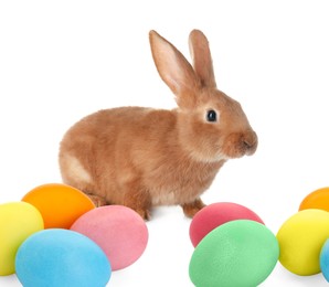 Image of Cute fluffy rabbit and colorful Easter eggs isolated on white
