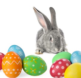 Image of Cute fluffy rabbit and colorful Easter eggs isolated on white