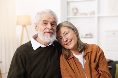 Portrait of happy elderly couple at home