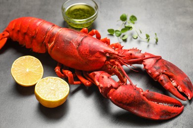 Photo of Delicious boiled lobster with oil, microgreens and lemon pieces on grey table, closeup