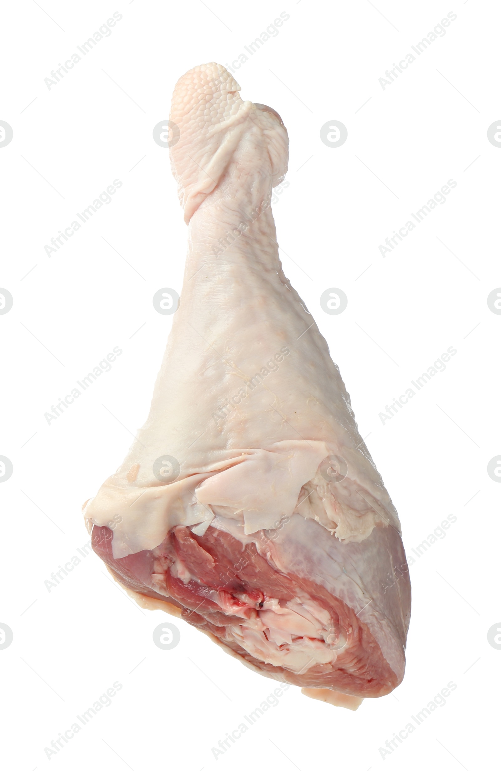 Photo of One raw turkey drumstick in air isolated on white