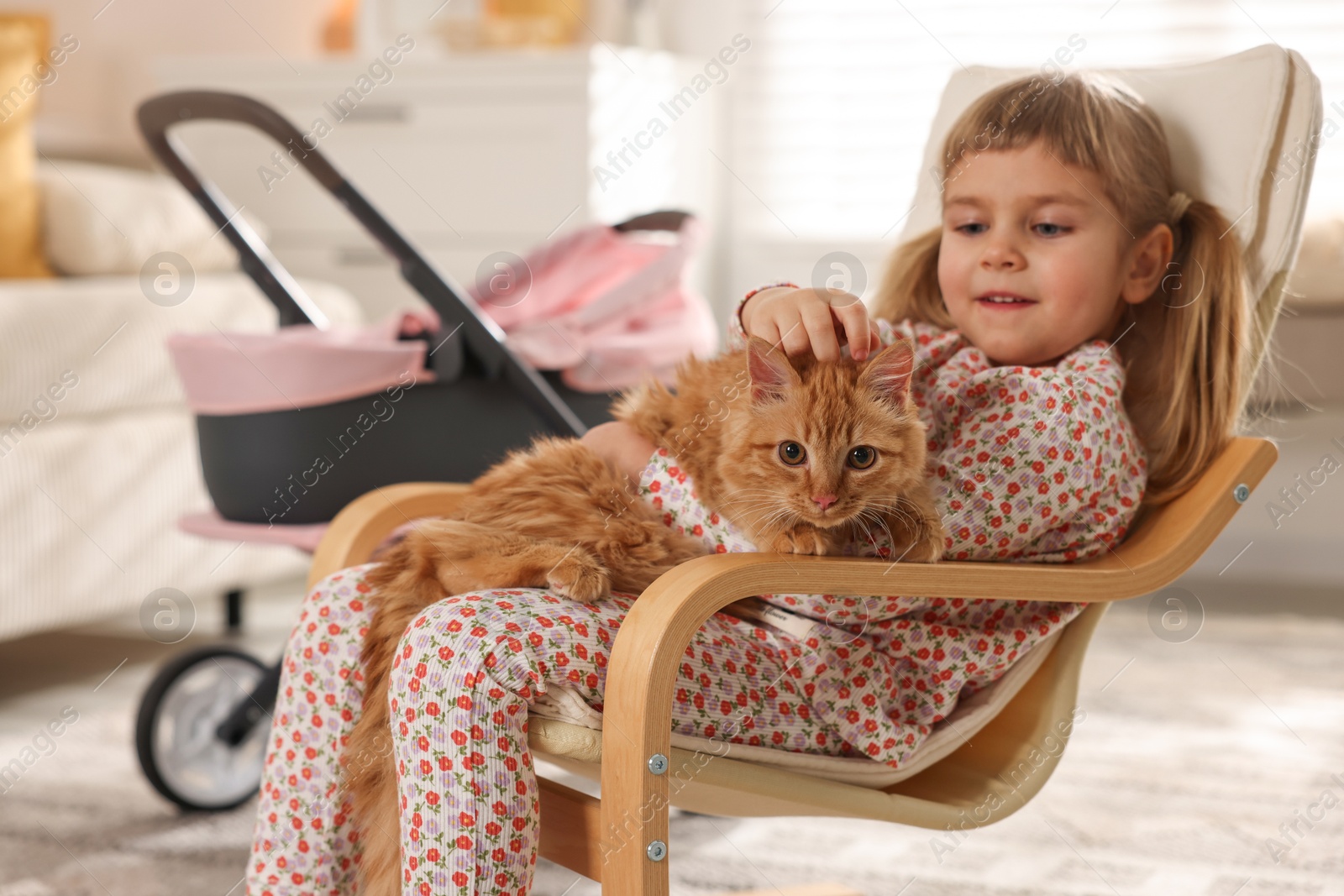 Photo of Cute little girl with her ginger cat sitting in armchair at home