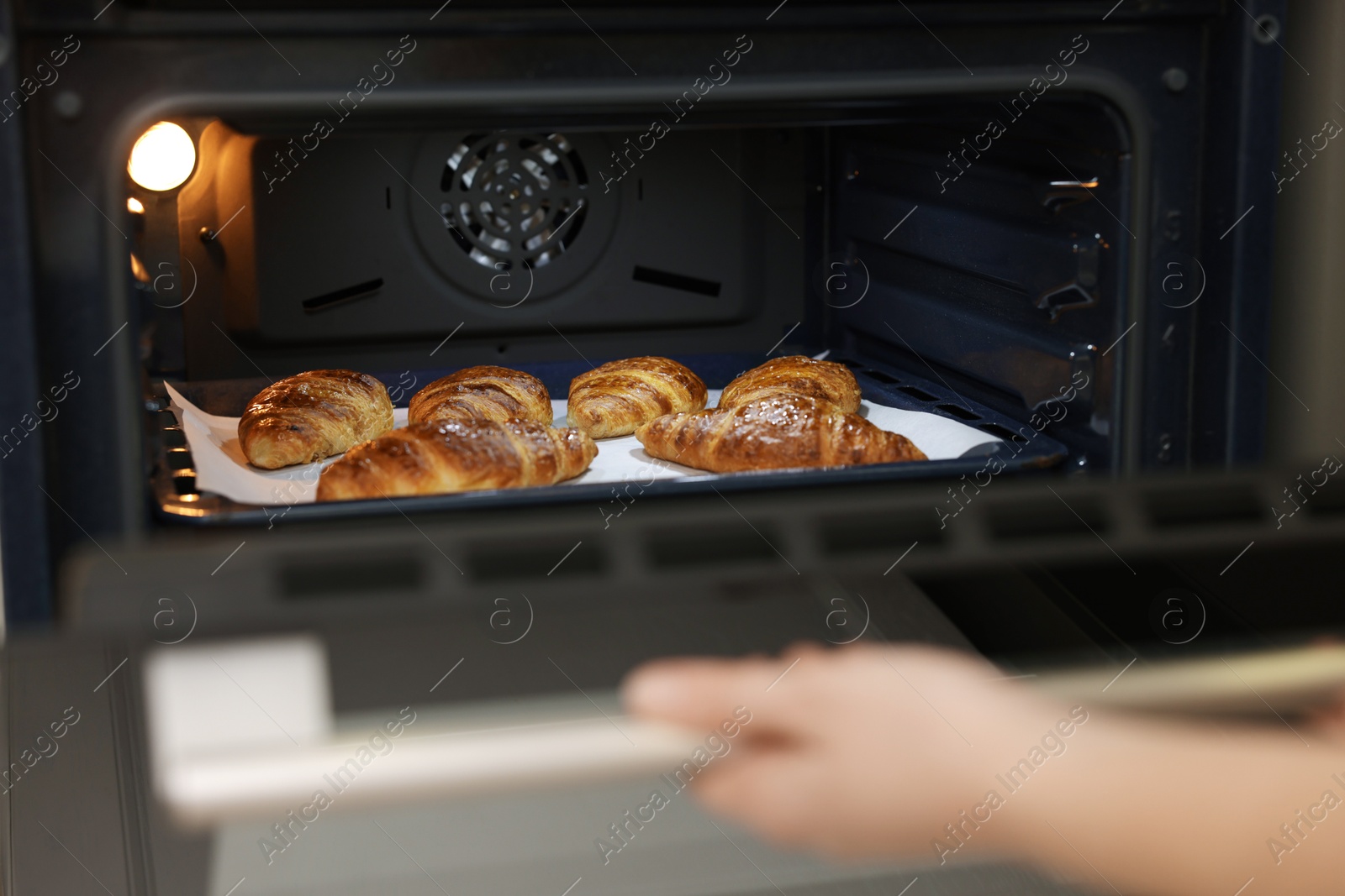 Woman opening oven with tasty croissants, closeup Photo of Woman opening oven with tasty croissants, closeup