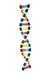 Photo of Colorful DNA structure model on white background