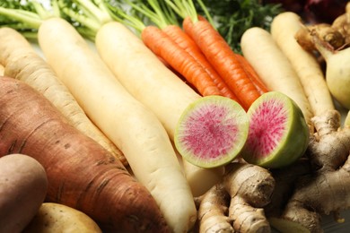 Different raw root vegetables on table, closeup