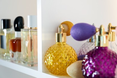 Photo of Different bottles of luxury perfume on shelf in store, closeup