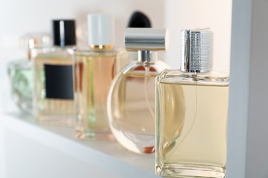 Photo of Different bottles of luxury perfume on shelf in store, closeup