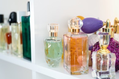 Photo of Different bottles of luxury perfume on shelf in store, closeup